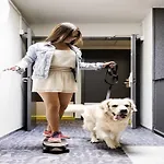 Ibis Budget Sud 2* بيربينيو
