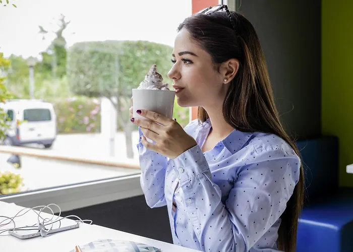 Ibis Budget Sud Hotel 2*